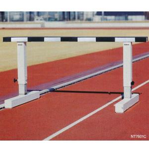 ニシ・スポーツ ニシスポーツ 棒高跳用ポール スピリットポール（UCS