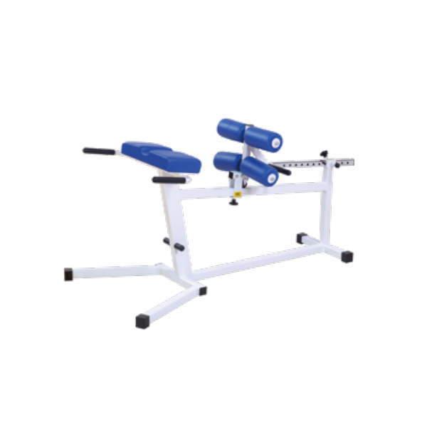 ニシスポーツ バックエクステンション T1040B