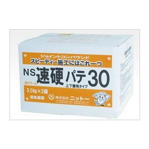 ニットー NS 速硬パテ 30 6kg箱（3kg×2）