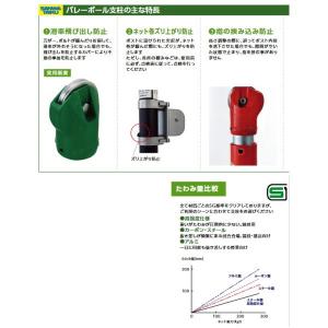 S 70 バレー支柱 スポーツ バレー支柱 Sanwa S70 イーヅカ カーボン 設備 備品 三和体育