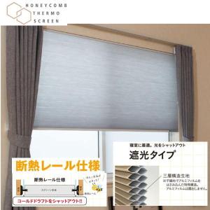 セイキ ハニカム サーモスクリーン スタンダード 防炎採光タイプ 幅200
