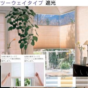 セイキ ハニカム サーモスクリーン 横引き アコーディオン 採光