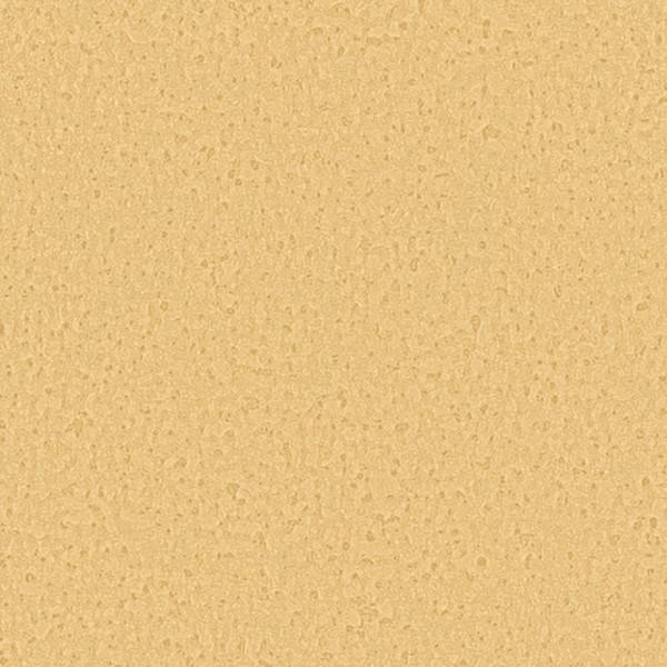 サンゲツ 壁紙 Daily palette ひまわり RE55040 1m長 糊なし