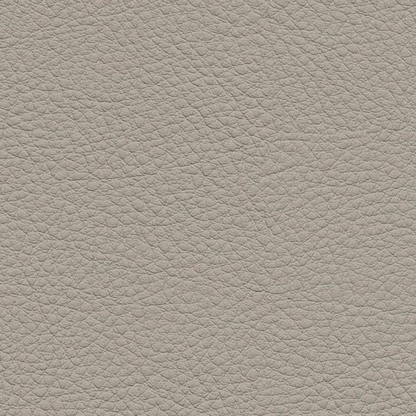 サンゲツ 椅子生地 L-Texture カラーレザー UP5026  有効巾122cm 10cm長