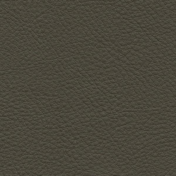 サンゲツ 椅子生地 L-Texture カラーレザー UP5038  有効巾122cm 10cm長