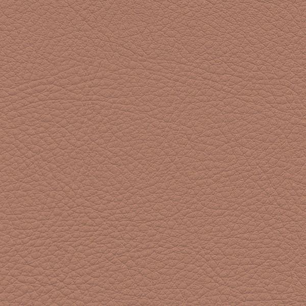 サンゲツ 椅子生地 L-Texture カラーレザー UP5066  有効巾122cm 10cm長