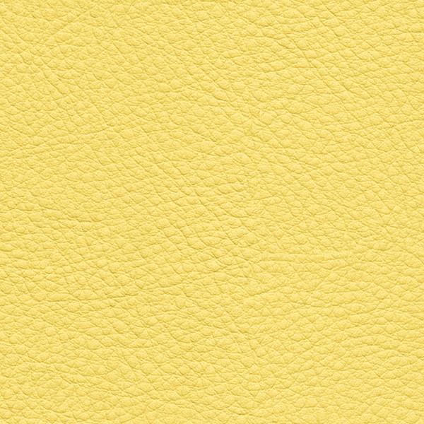 サンゲツ 椅子生地 L-Texture カラーレザー UP5074  有効巾122cm 10cm長
