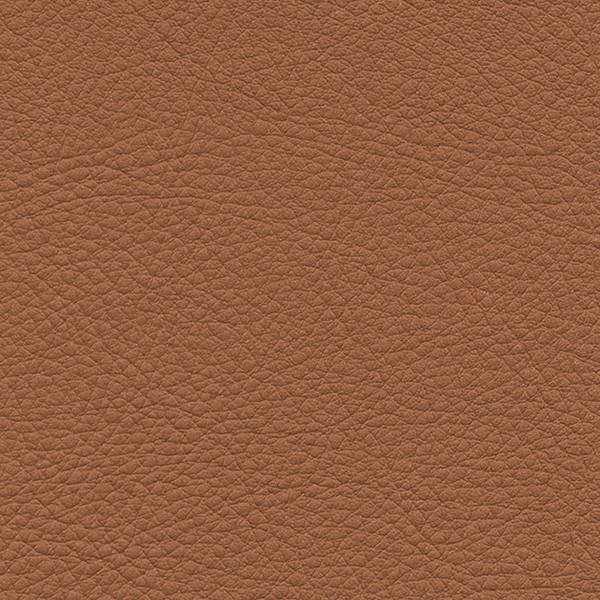 サンゲツ 椅子生地 L-Texture カラーパレット2 UP5161  有効巾137cm 10cm...