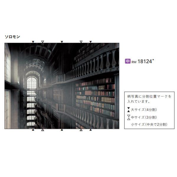 シンコール リアルウォール ソロモン RW18124 中サイズ タテ2025mm×ヨコ2700mm