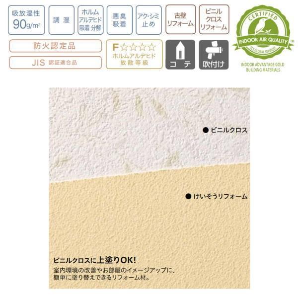 四国化成 けいそうリフォーム 基材（1袋）