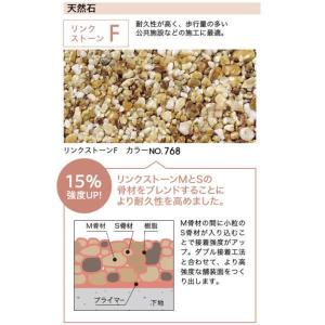 四国化成 天然石舗装材 リンクストーンF 1....の詳細画像2