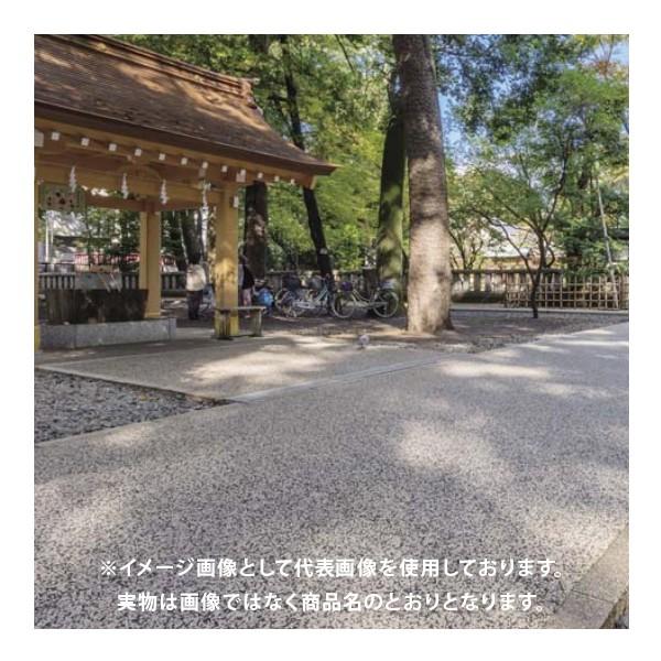 四国化成 舗装用 洗い出し基材 PAD 4袋