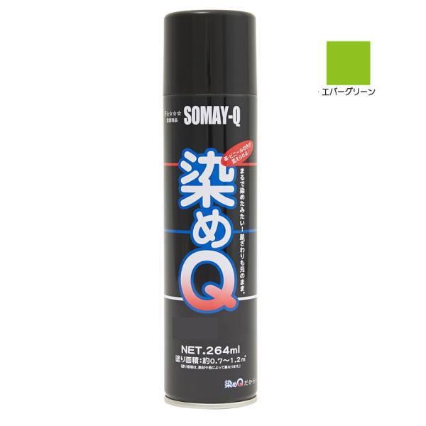 染めQテクノロジー 染めQ エアゾール 264ml エバーグリーン