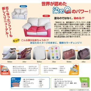染めQテクノロジー 染めQ エアゾール 70mlの詳細画像1