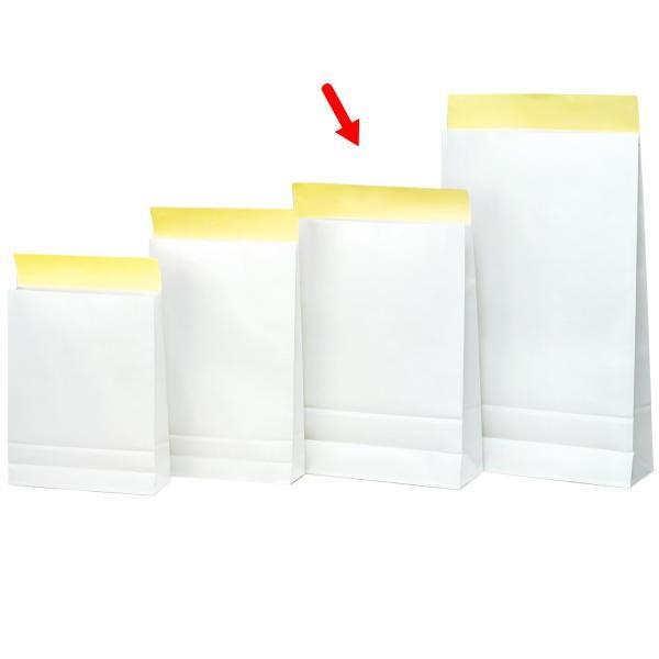 宅配袋 366220 WP晒宅配袋(大） 320×115×430＋60 300枚