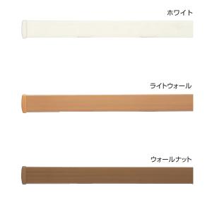 タチカワブラインド ピクチャーレールVP-1部...の詳細画像1