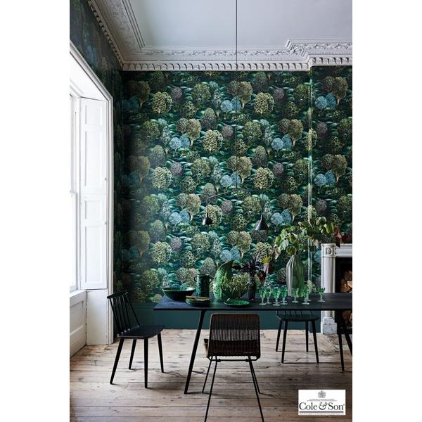 テシード 輸入壁紙 Cole&amp;Son (イギリス) 70cm巾×10m巻 115/9028