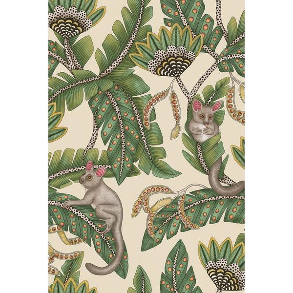 テシード 輸入壁紙 Cole&amp;Son (イギリス) 52cm×10m巻 119/7035