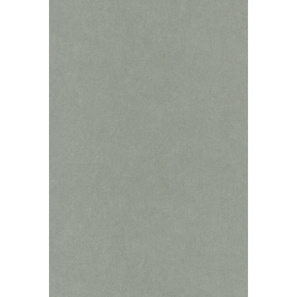 テシード 輸入壁紙 CASADECO (フランス) 53cm×10m OXFD82387117