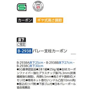 トーエイライト バレー支柱カーボン B-293...の詳細画像1