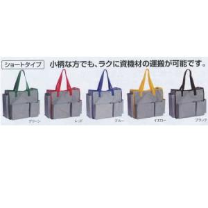 テラモト BMトートバッグS DS-233-20...の商品画像
