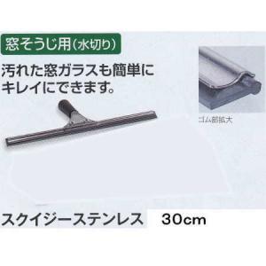 テラモト ステンプロワイパー 35cm CL-509-135-0 : イーヅカ - 通販