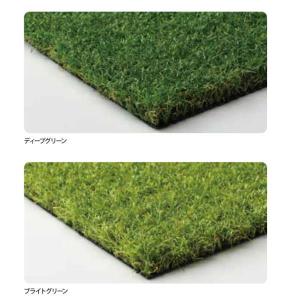 東レアムテックス 人工芝 スパックターフ MD-PE2 カット販売 幅1.8m 全厚30mm 1m長