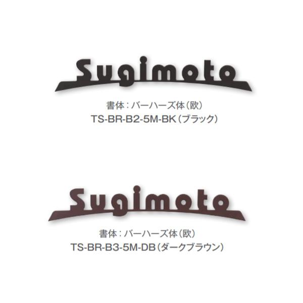 トーシン 表札 ステンレスアイアンサイン TS-BR-B○-5M-□□