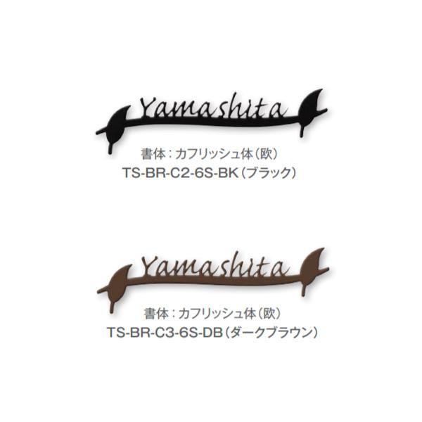 トーシン 表札 ステンレスアイアンサインミニ TS-BR-C○-6S-□□