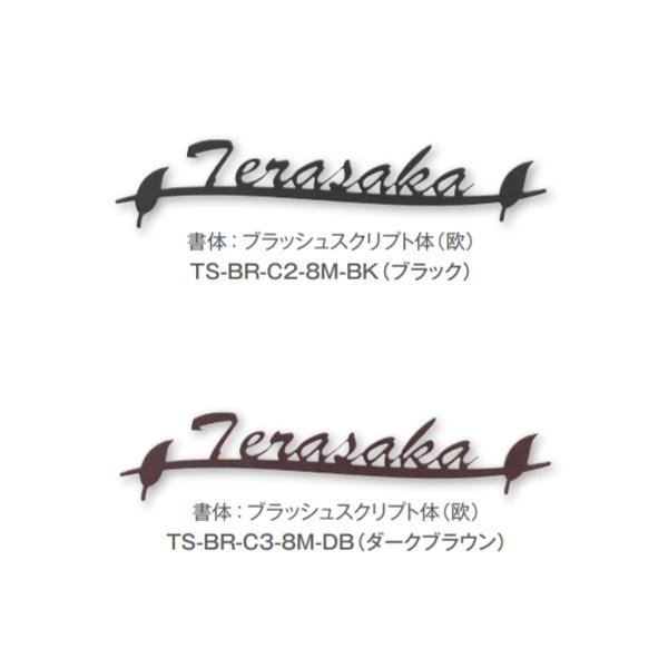 トーシン 表札 ステンレスアイアンサイン TS-BR-C○-8M-□□