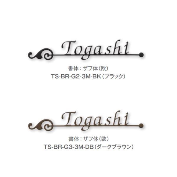 トーシン 表札 ステンレスアイアンサイン TS-BR-G○-3M-□□