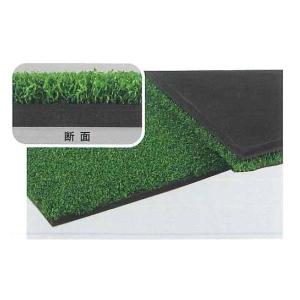 TORAY 東レアムテックス 人工芝 スパックターフ レギュラー NK ロール