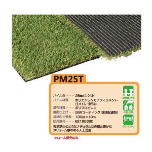 オンリーワンクラブ リアルグラス 人工芝 SG 2m×10m GM2-RG32