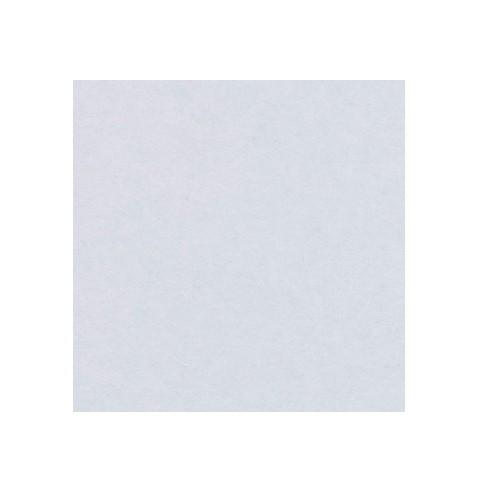 ワーロンシート 無地 NO.52 0.3mm厚 930×2150mm 1枚