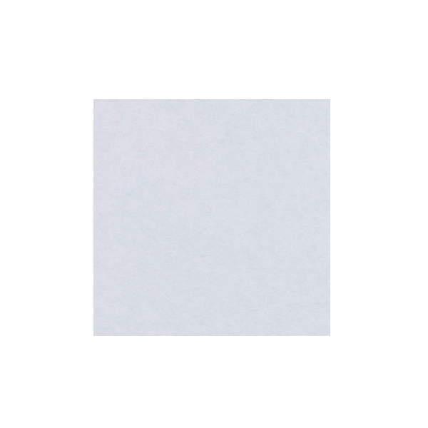 ワーロンシート 無地 NO.52 0.2mm厚 1230×2450mm 1枚