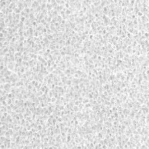 ワーロンプレート 春雨 V1 1mm厚 930×1850mm 1枚 防炎認定品