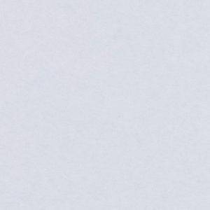 ワーロンプレート 無地 V52 2mm厚 930×2040mm 1枚 防炎認定品