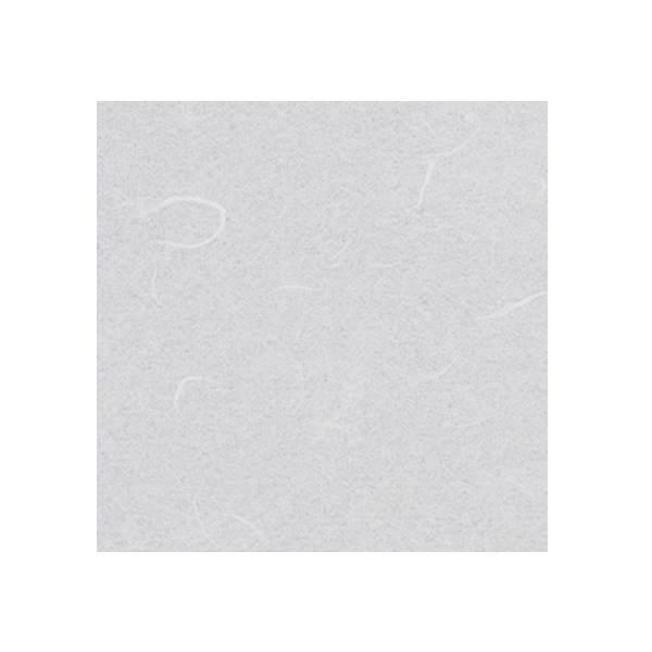 ワーロンシート 薄雲竜 NO.2-15G 0.2mm厚 930×1850mm 1枚