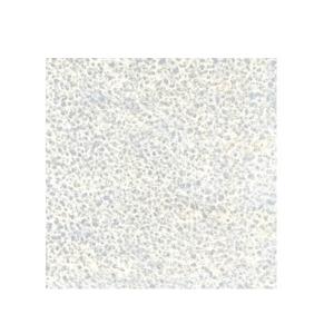 ニチハ 両面防水テープ 幅50mm 長さ20m 10巻入 JF1514 : 住建