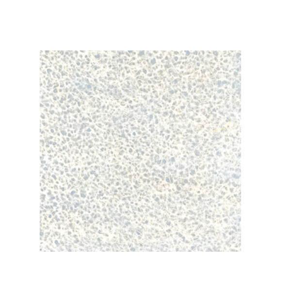 ワーロンシート 生なり糸入り落水 K-114 0.3mm厚 930×1850mm 1枚