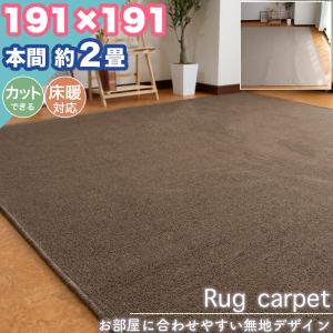 東リ（TOLI） ラグ 190×240cm 約3畳 防ダニ 日本製 ホットカーペット