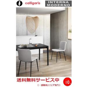 カリガリス コヌビア ニューヨーク チェア 座面ソフトレザー 2脚セット