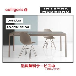 カリガリス コヌビア アカデミー チェア 2脚セット 座面マット calligaris connub...