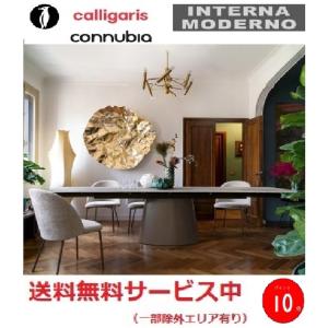 ●コヌビア エリセ 伸長式ダイニングテーブル 天板セラミック calligaris connubia...