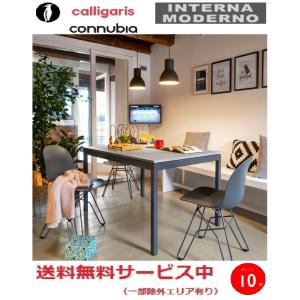 大塚家具 シーリング「SPA-CARNABY／G」約6~8畳用 ランプ別売 : ベスト