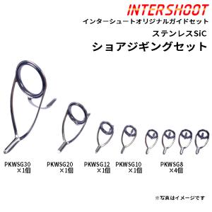 ショアジギング ガイドセット ステンレスSiC PKWSG308-IS スピニング PKWSG30 PKWSG20 PKWSG12 PKWSG10 PKWSG8 富士工業 Fuji 釣り パーツ ロッドビルディング｜intershootjapan