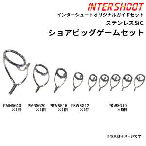 Fuji ショアジギング ガイドセット ステンレスSiC PKWSG308-IS