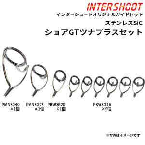 Fuji（釣り） T-RVTG30F6 投げセット ガイドセット トップガイド