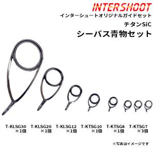 富士工業　T-KLSG Fuji（釣り） T-KLSG20H KL-L,M,Hガイド リングサイズ20 富士