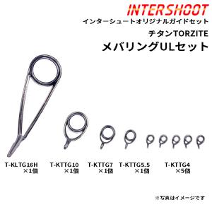 Fuji（釣り） シーバス ガイドセット チタンTORZITE T-KLTG25H8